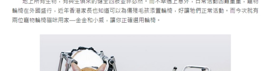 東周網 寵物輪椅 訪問