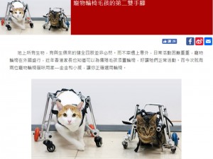 東周網 寵物輪椅 訪問
