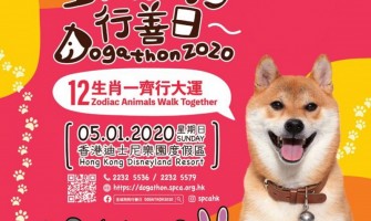 全城狗狗行善日